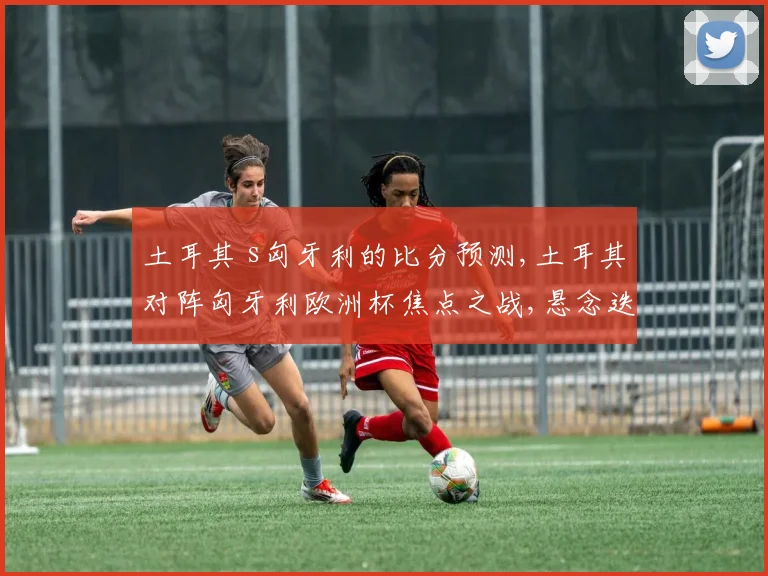 土耳其 s匈牙利的比分预测,土耳其对阵匈牙利欧洲杯焦点之战,悬念迭起