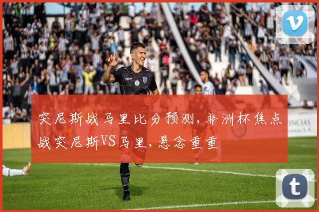 突尼斯战马里比分预测,非洲杯焦点战突尼斯VS马里,悬念重重