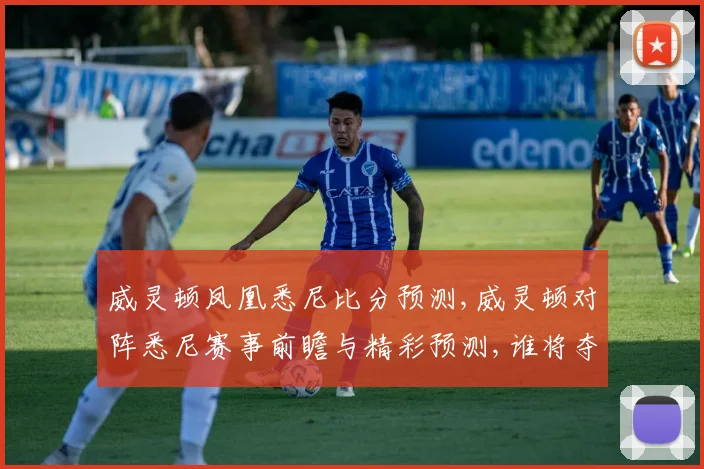 威灵顿凤凰悉尼比分预测,威灵顿对阵悉尼赛事前瞻与精彩预测,谁将夺冠